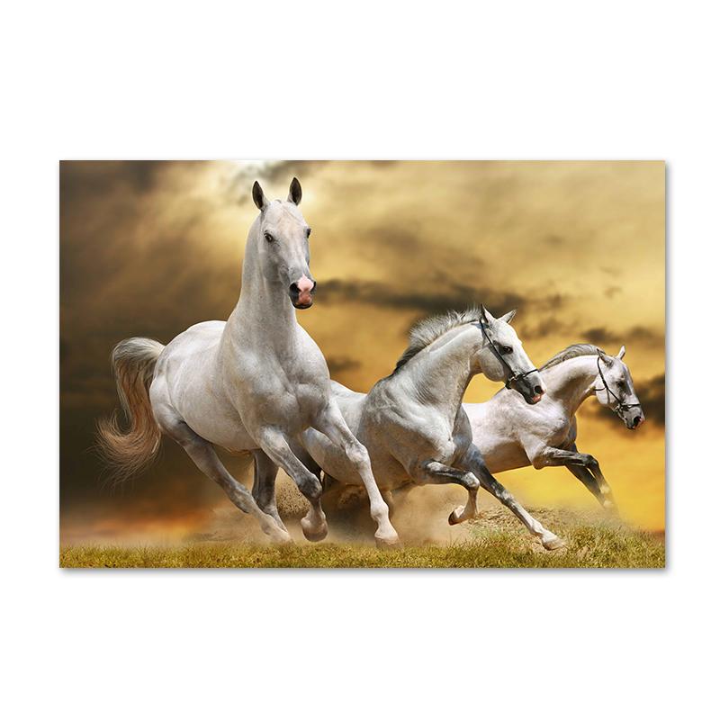 Moderne Tier Pferd Kunst Leinwand Malerei Poster und Drucke Abstrakte Wand Kunst Bilder für Wohnzimmer Hause Dekoration Cuadros