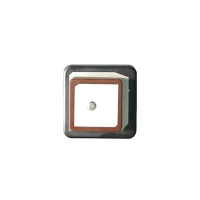 GNSS Passive Antenne Einzelsonde GPS L1 L5 Signale Kostengünstig AP20 Wasserdicht IP67 Antenne