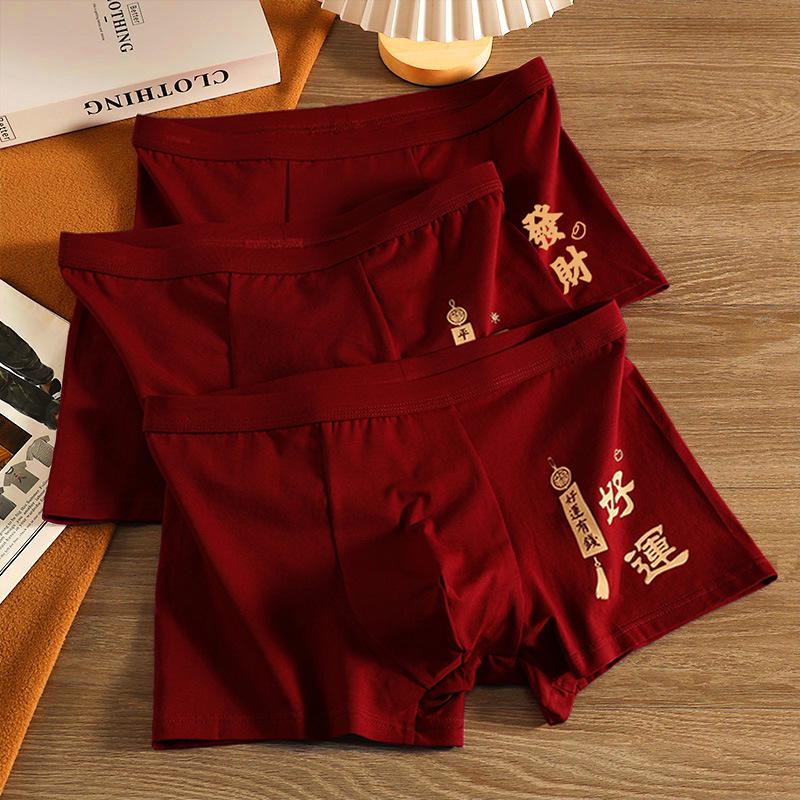 Men's Zodiac Year Wine Red Boxer Briefs - Year of the Horse Celebration Breathable Shorts