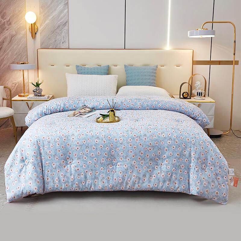 

Donner Home Textiles Four Seasons Super Soft Seven-Hole Fiber Quilt