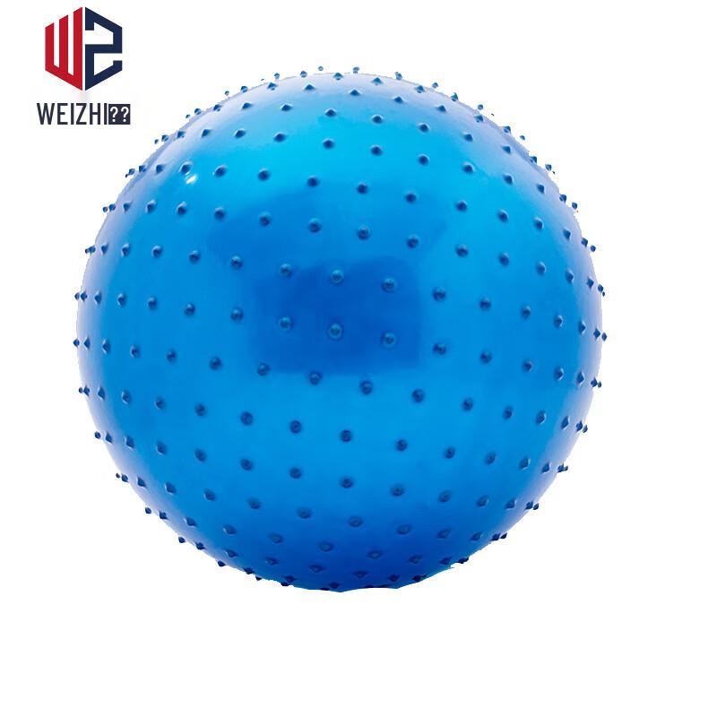 Children s Sensory Training Massage Ball