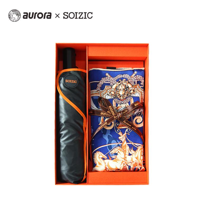 Aurora Silk Scarf Art Umbrella Combo