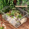 Large Transparent Turtle & Fish Tank with Lid - Rectangular Terrarium and Storage Box