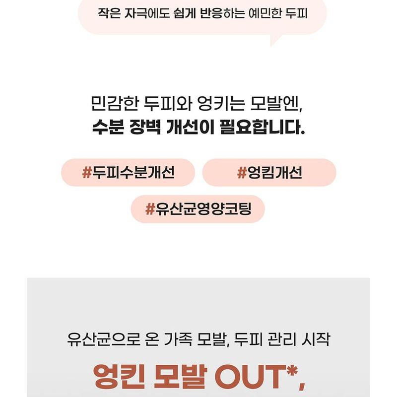 DR. Bio - Wrap-Up Behandlung Jumbo