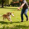 Pet Chew Toy Rope Knot Puppy Bite Resistant Interactive Toys Dog Chewing Toys Teeth Cleaning Interactive Pet Plush Toy