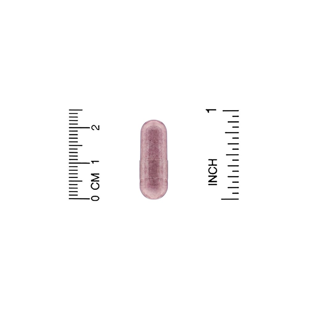 NOW Foods Elderberry 500mg Veg Capsules, 120 Counts