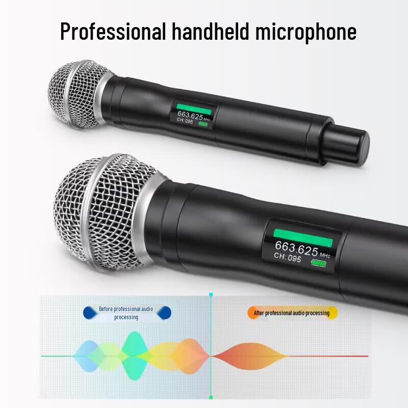 HuiDu BS-G20 Wireless Dual Microphone System (CN version)