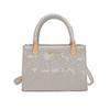 Hand Bag Women's Spring and Summer New Version Fashion Trendy Small Square Bag Texture Simple Casual Messenger Bag