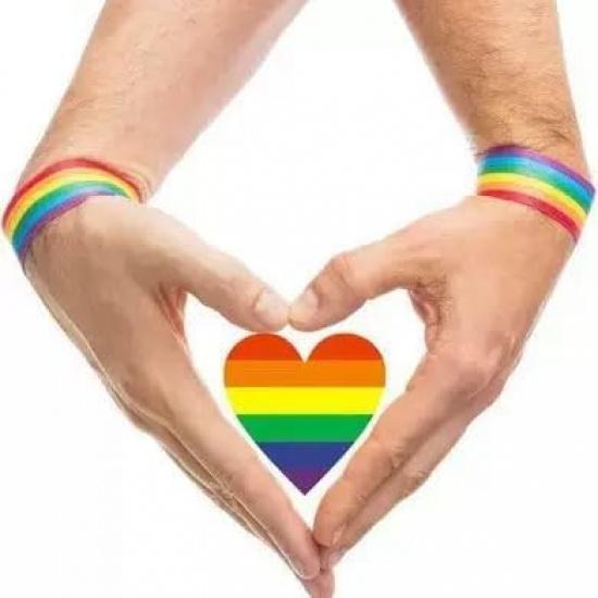 ONPRESS 500Pcs Gay Pride Stickers Rolls Self-Adhesive LGBTQIA+ Support for Parades Rainbow Heart Stickers Pride Month Events Festival Party