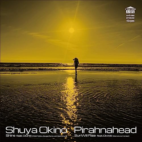 

Shine feat. Diviniti (ROOT SOUL Boogie Remix with