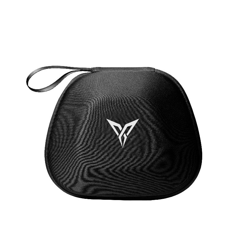 FLYDIGI APEX 4 case