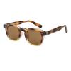Stylish Retro Square Polygon Sunglasses Female Male Luxury Leopard Sun Eyeglasses Anti- Blue Lightweight Glasses Gafas De Sol Hombre
