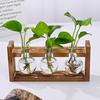 Plants Propagation Station with Wooden Stand Indoor Plant Terrarium Hydroponic Flower Holder Container Decoration Table Centerpiece