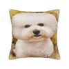 Cute Bichon Frise Pillow Cover  Comfy Cushion Cover Funny Pillow Case For Sofa Home Decor