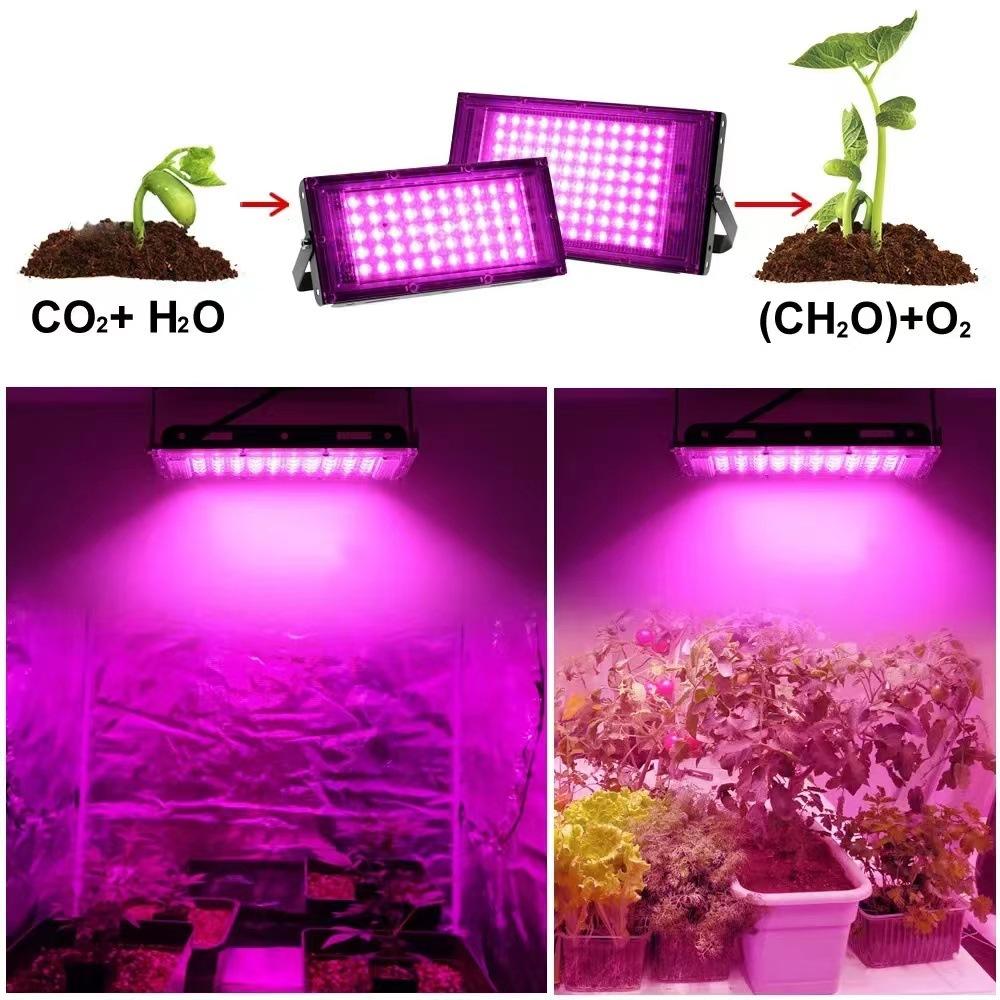 AC 220V Full Spectrum LED Grow Light Phyto Lamps 50W 100W 200W 300W With EU Plug For Greenhouse Hydroponic Plant Growth Lighting
