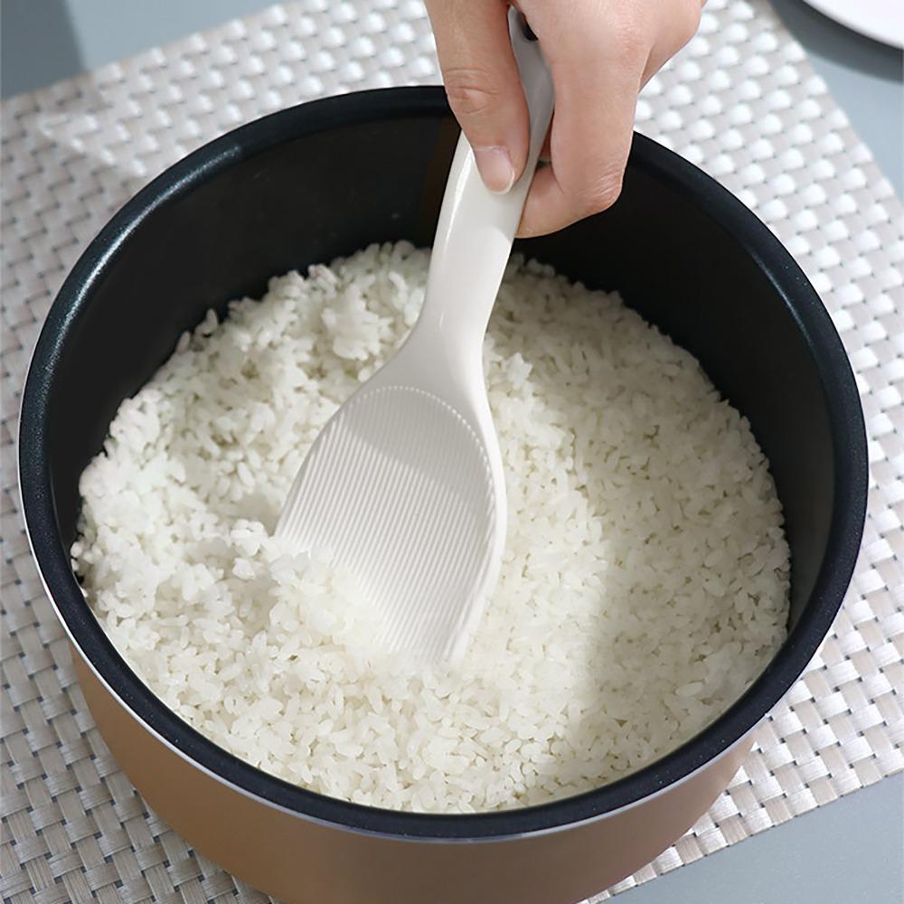 2Pcs Storage Box Rice Paddle Dust Proof Kitchen Accessory Convenient Dinnerware Spoon Food Storage
