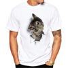 Summer Funny Cat Animal Print  T-Shirts Men Women Casual Short Sleeve T Shirt Oversized Harajuku Unisex Tees Tops Clothing