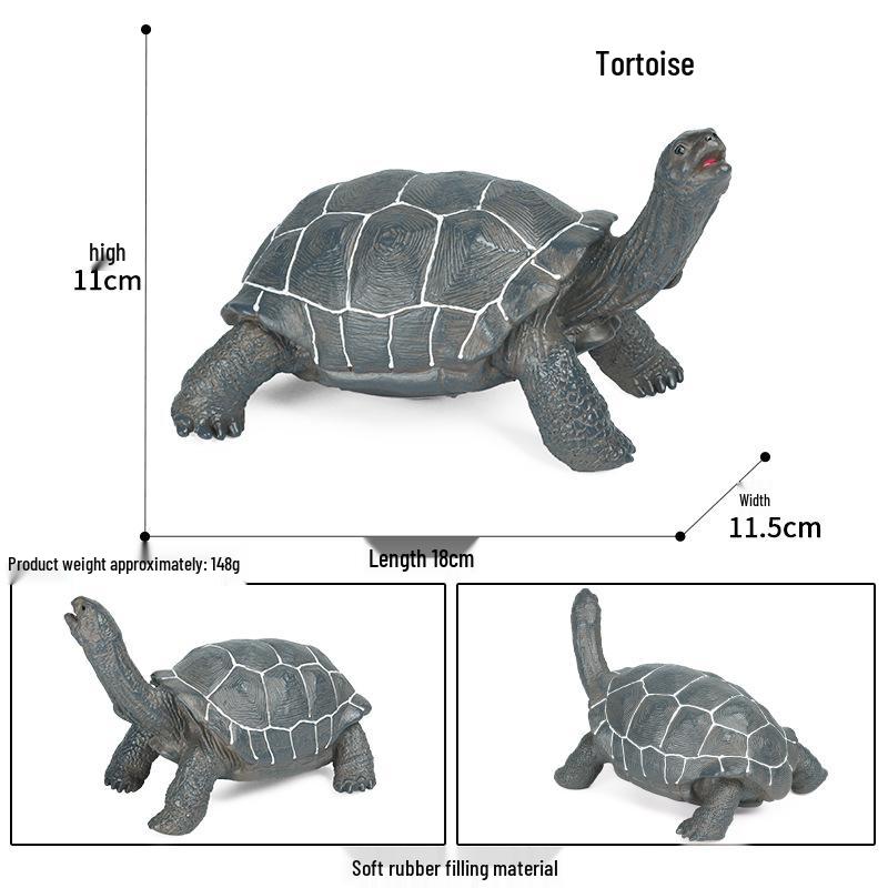 Children's Cognitive Marine Animal Models: Sea Turtle and Tortoise Toys