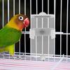 360 Ml Parrot Waterer Automatic Bird Cage Water Dispenser No Mess Plastic Drinking Feeder for Budgie Cockatiel Canary Hanging