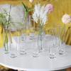 12 Pieces Glass Cylinder Vase, Clear Small Flower Vase, Home Decoration Vase, Party Decoration Vase, Suitable for Wedding