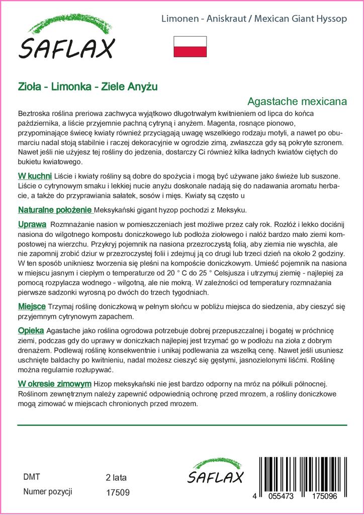 SAFLAX Zahrada v sáčku - Mexický obří yzop - 50 semen - Se substrátem ve vhodném stojacím sáčku - Agastache mexicana