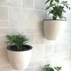 3pcs/set Wall-Mounted Flower Pot Automatic Water-Absorbing Soil or Hydroponics System Pot for Wall Balcony Flower Pot Holder