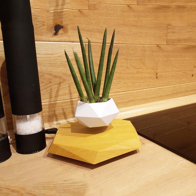 Magnetic Levitation Potted Plant: Creative Bonsai Handicraft Gift for Teacher's Day & Living Room Decor.