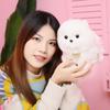 Lifelike Pomeranian Plush Toys Simulation Puppy Kawaii Teddy Dog Stuffed Animals Dolls Cute Birthday Gift Present for Children