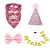 Pet Dog Cat Birthday Party Flag Dog Birthday Hat Triangle Scarf Big Dog Birthday Drool Scarf Bib Dog Cat Party Decoration