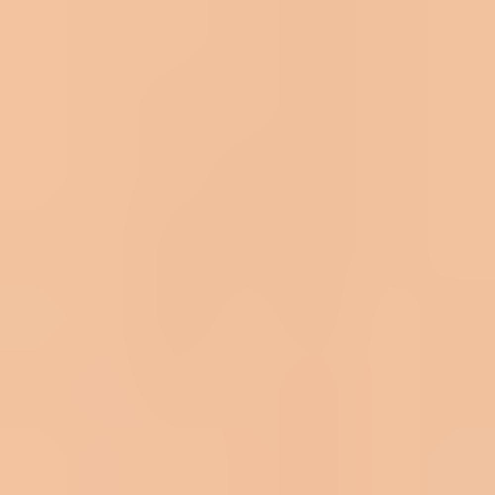 Skinfood Salmon Dark Circle Concealer 10g (Shade 0 / Shade 1 / Shade 2 – Blooming / Beige)