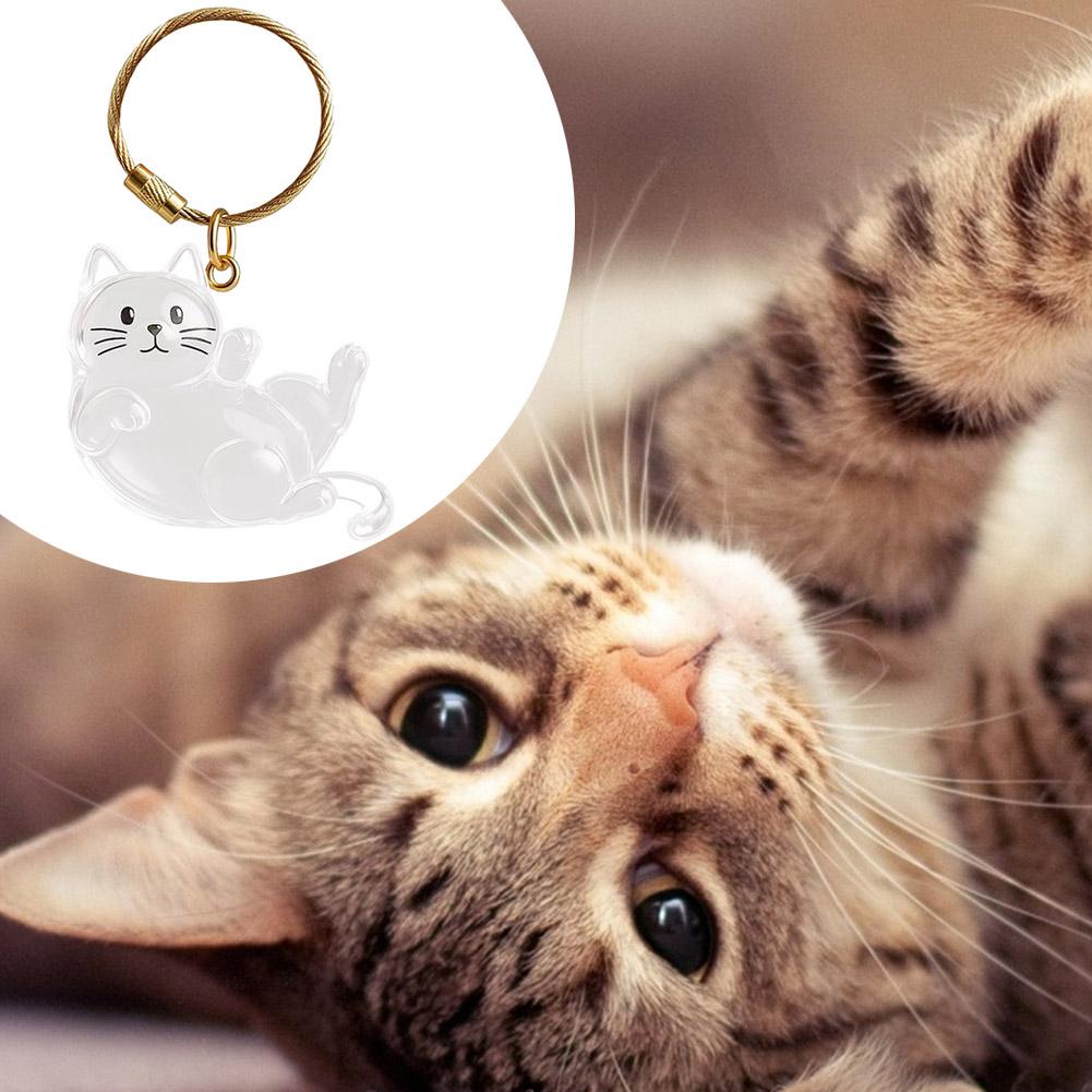 DIY Lovely Cat Hair Collector Keychain Charm Memorial Storage Box, Pet Hair Memorial Keepsake, Creative Gifts For Cat Lovers