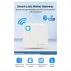 TTLOCK G6 Smart Matter Gateway Remote Control Unlock Bluetooth to Wifi Router for Home Security Real-Time Monitoring