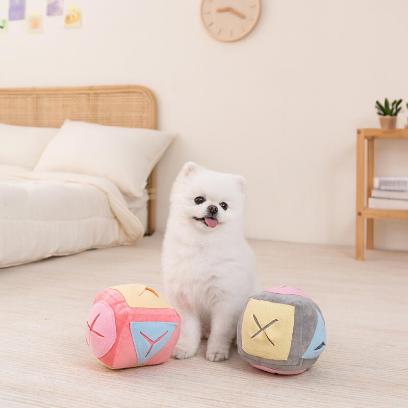 Puppy Nosework Toy Cube Ball Nosework Cube Ball (Pink) LDG-NW03