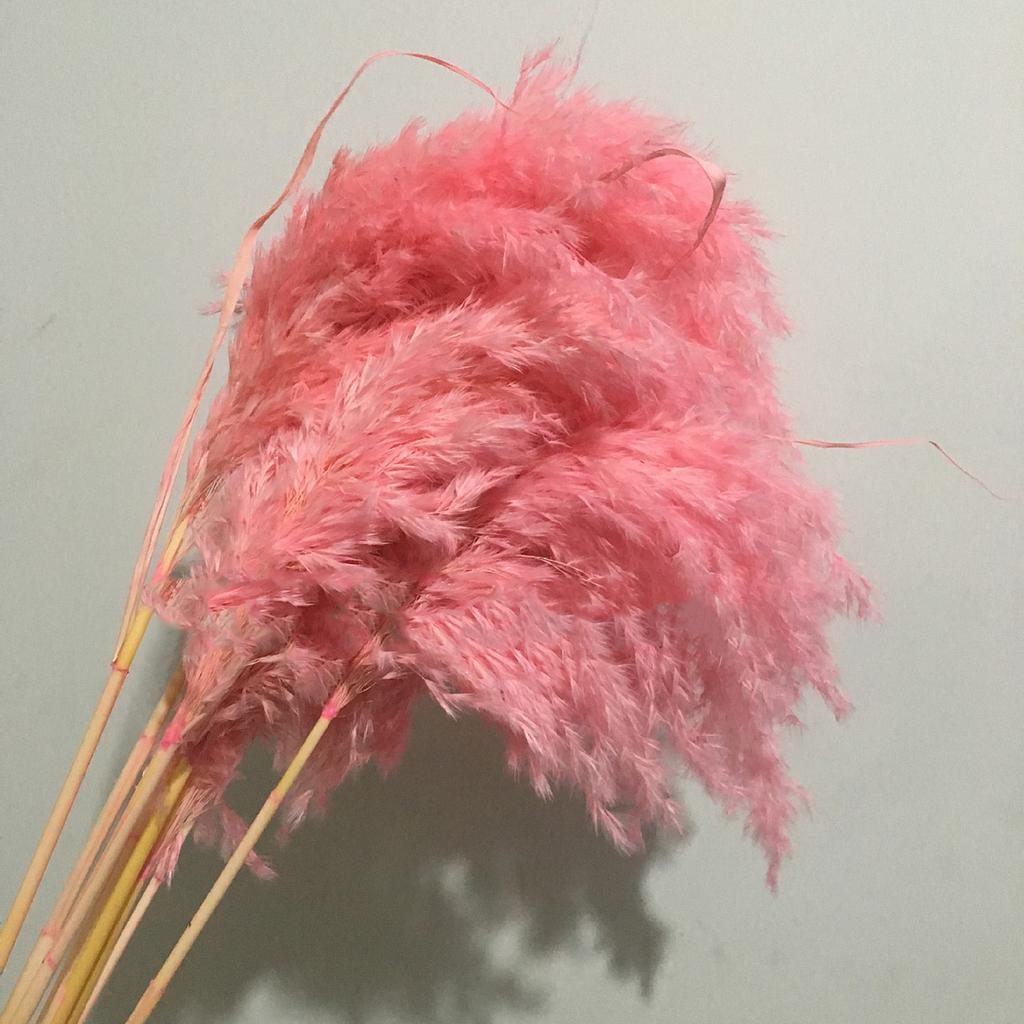 Dried Pampas Grass Natural Pampas Grass Bouquet Large Reed Dried Flowers for Boho Home Decor