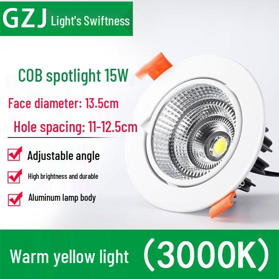 Recessed 20W Spotlight Downlight for Clothing Stores, 15-30W Commercial Ceiling Light