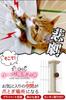 Cat Cage Scratcher with Toy, Cage Attachable, Full Set