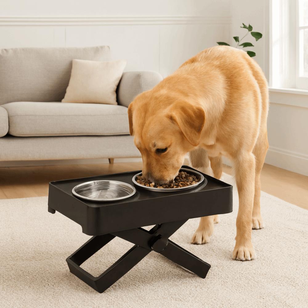 Adjustable Height Neck Protection Dog Bowl Spill-proof Double Bowl Design Dog Watering Bowl Stainless Steel Stable Pet Feeder