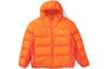 Acg Therma FIT Adv Lunar Lake Puffer Jacket DH3070-819