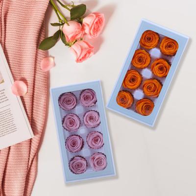 8Pcs Preserved Rose Beauty Não desbotamento Realista Eterno Arranjo de Flores Presente para Decoração de Festa em Casa