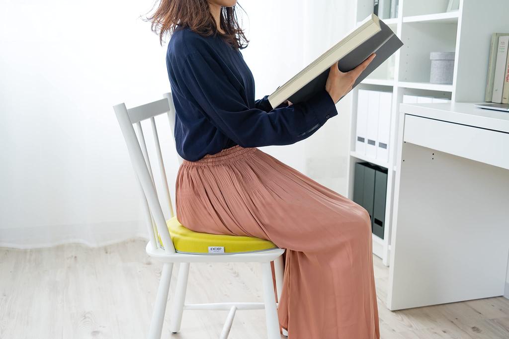 EXGEL Kaji Cushion Maru Punifit Lemon Gel Cushion Made in Japan Chair Dining Sofa Cushion Zabuton Work from Home / PUN22-LE