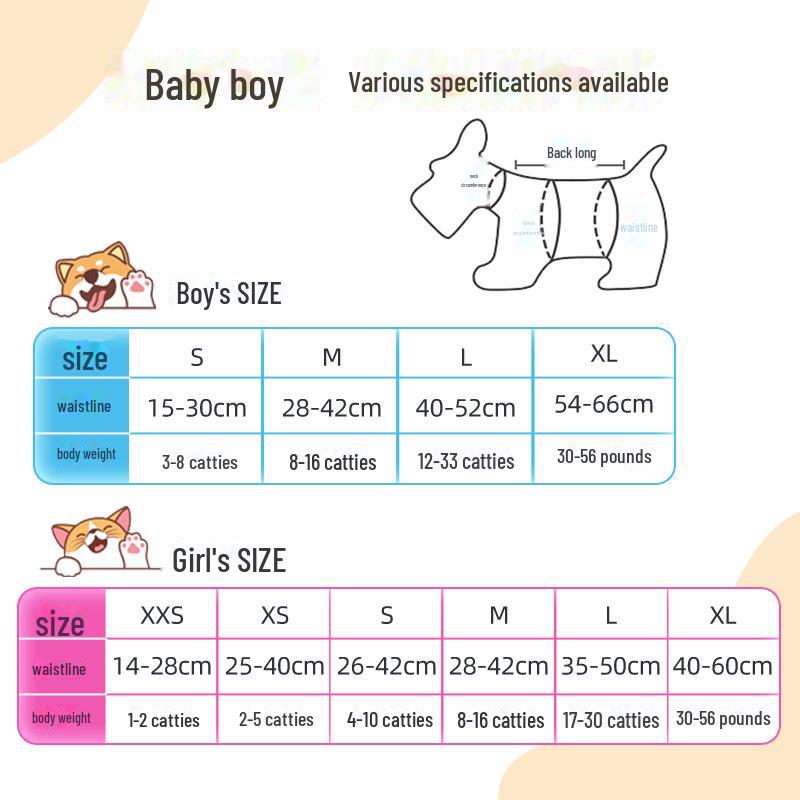 Teddy Dog Diapers: Female Puppy Menstrual Pants