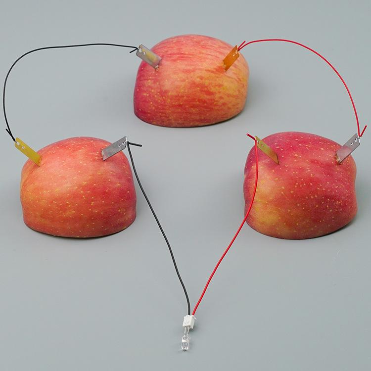 Bilim Deneyi Meyve Gücü Üretimi Çinko Bakır Parçalar Teknoloji Küçük Yapım Öğrenciler Küçük İcat Fizik Deneyi Malzemesi Oyuncaklar