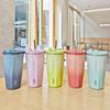 Fashionable and Simple Insulated CupSummer Cold Preservation Stainless Steel Straw Cup Creative and Portable American Coffee Cup