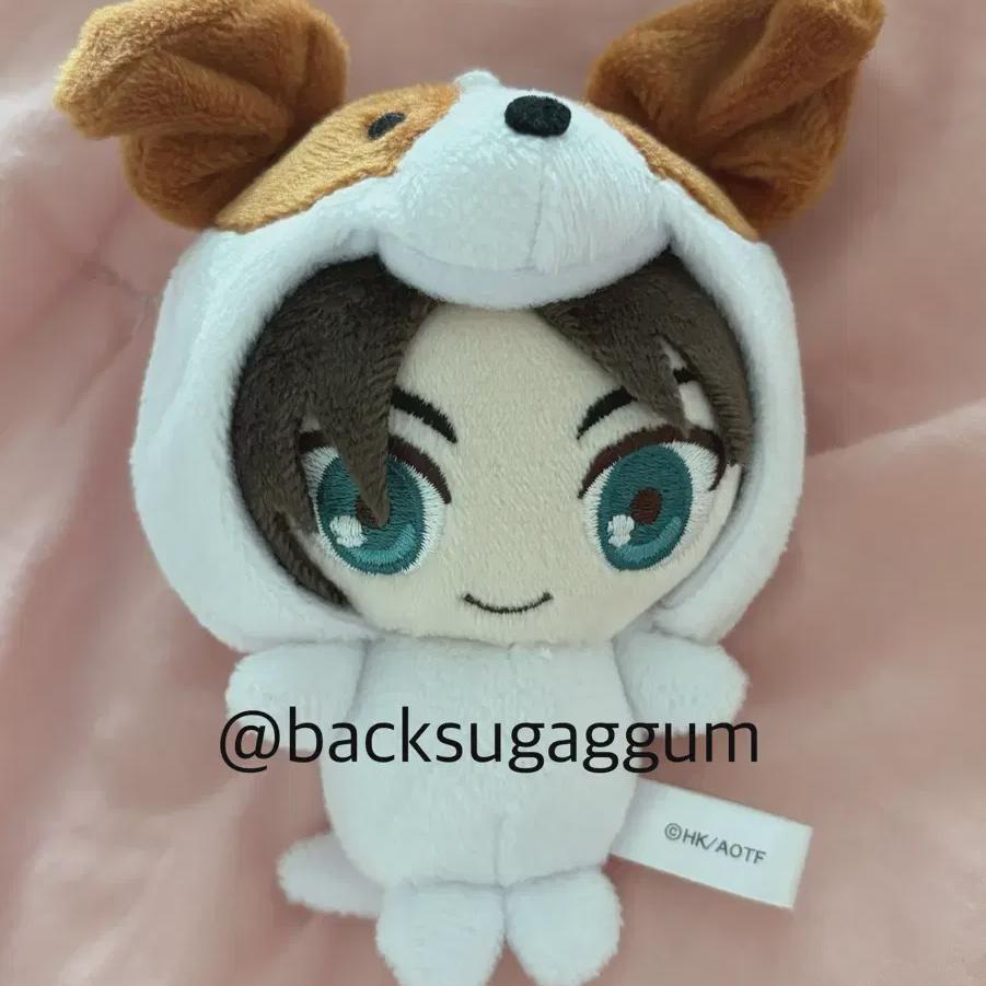 

Attack On Titan Eren Elmun s Sister