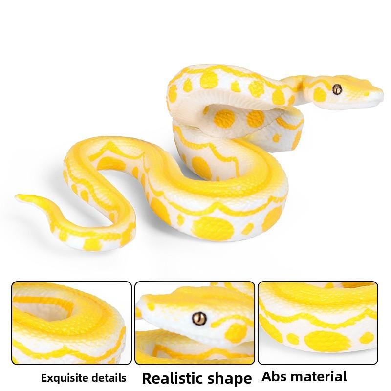 Snake Amphibian Animal Crocodile Toy Model For Kids Educational And Display Use