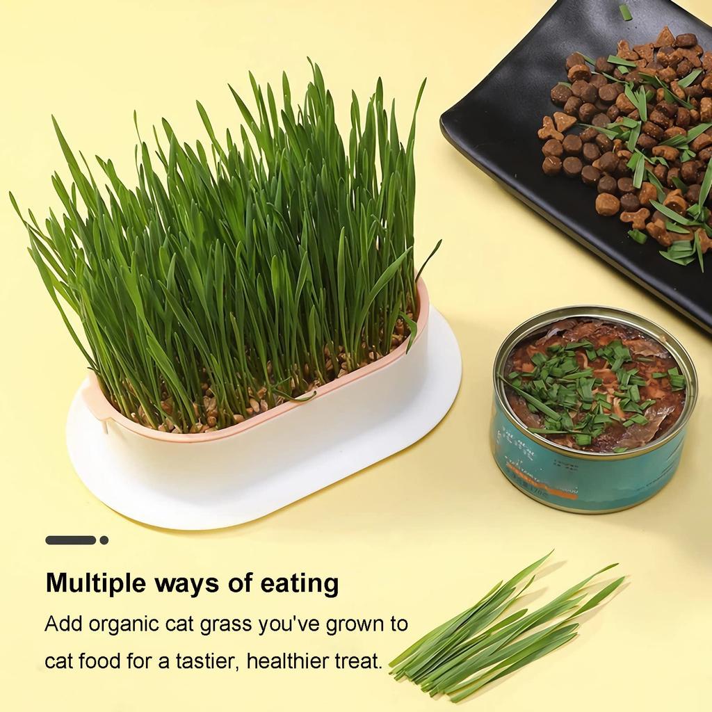 Cat Grass Planter Hydroponic Cat Grass Growing Kit No Seeds Included  Catnip Wheatgrass Seed Sprout Tray Nursery Plant Planting Box for Indoor Cats