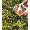 India Diamond Cut Brass Lota for Puja | Brass Kalash, 1000ml, 1 Piece (5.5 Inch - Gold)