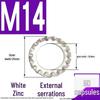 304 Stainless Steel External & Internal Tooth Lock Washer, Anti-Slip, Anti-Loosening, Size M6-M30
