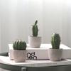 Cactus Pot Bonsai Plant Living Room Home Decoration Fake Flower Artificial Plants Plastic Cactus Ball Desktop Decorations