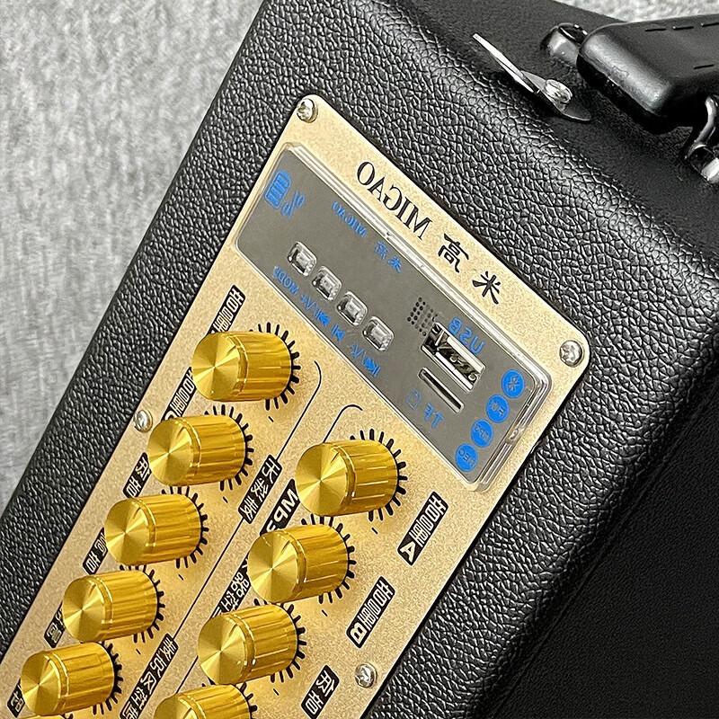 Migeer MG832A Portable Musical Instrument Speaker